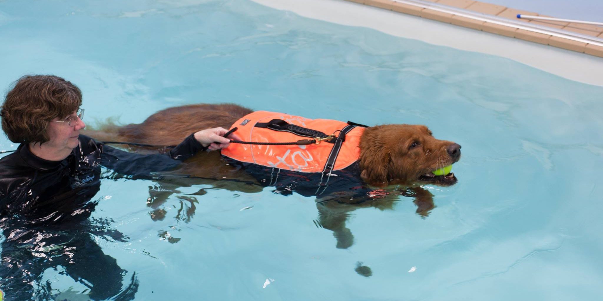 Peaceful Endings for Pets Have You Thought About Swim Therapy For Your